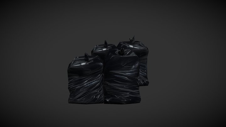Trash Bag 3D Model