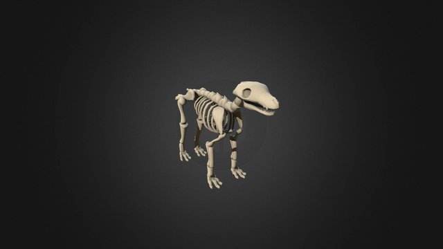 Skeleton dog 3D Model