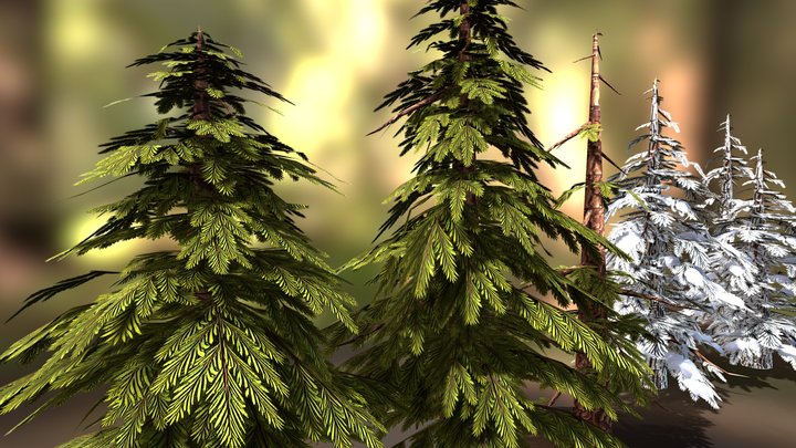 summer & snowy pine trees 3D Model