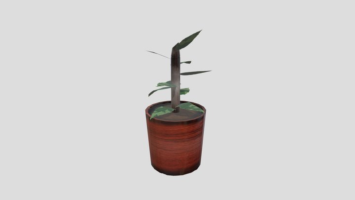 pant dv 3D Model