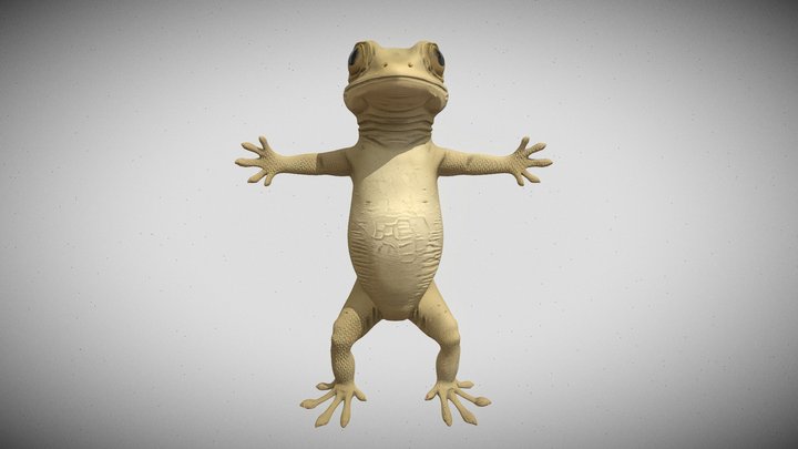 Realistic Gecko 3D Model - T Pose 🦎 – Kostenloses 3D-Modell STL