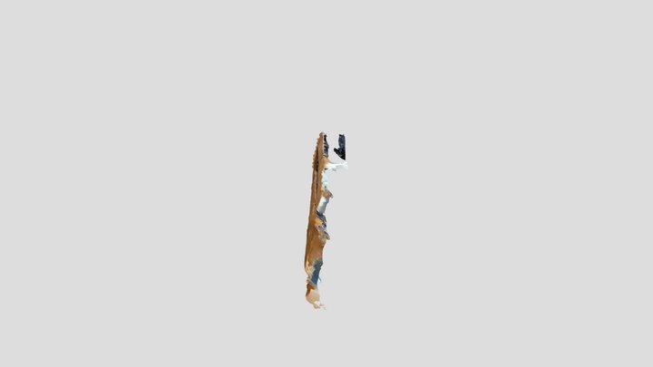 Polycam capture 3D Model