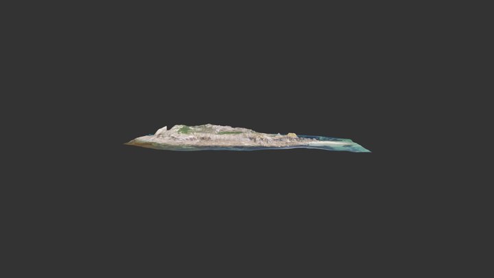 ile aux dames 3D Model