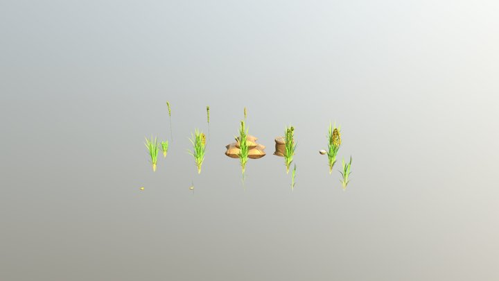 Rice Cycle Farm 3D Model