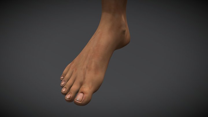 My Sketchfab Mesh 3D Model