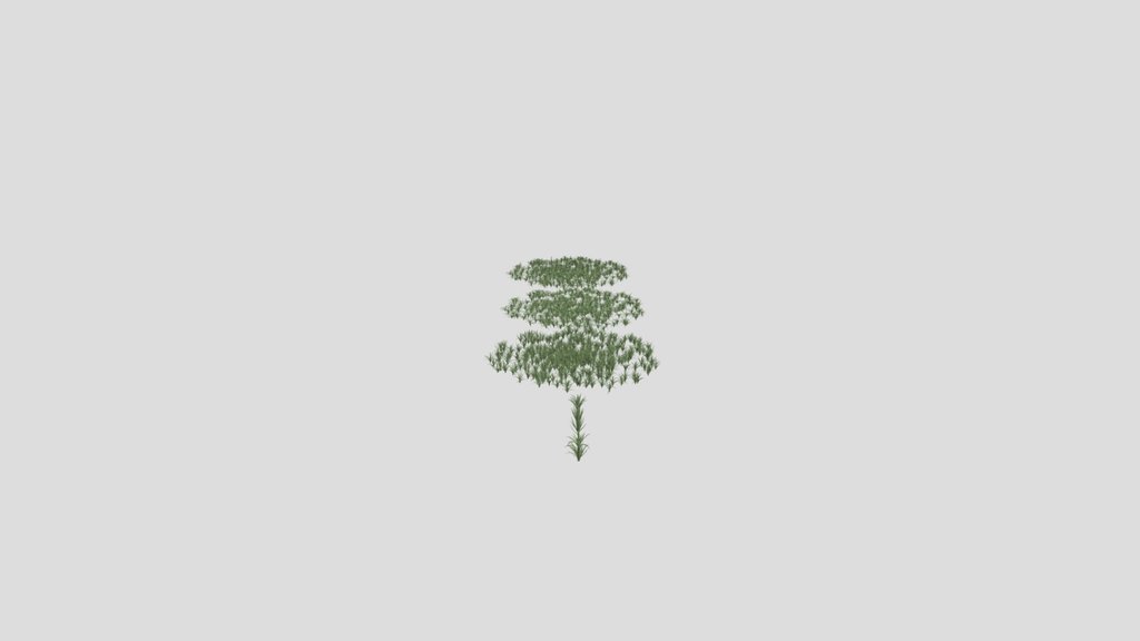 Grass