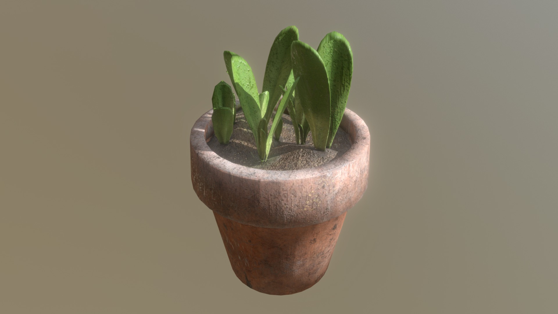 3D model Lettuce Sprouts in a Pot - This is a 3D model of the Lettuce Sprouts in a Pot. The 3D model is about a potted plant with a green plant in it.