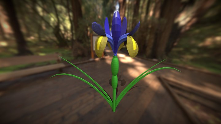 Iris