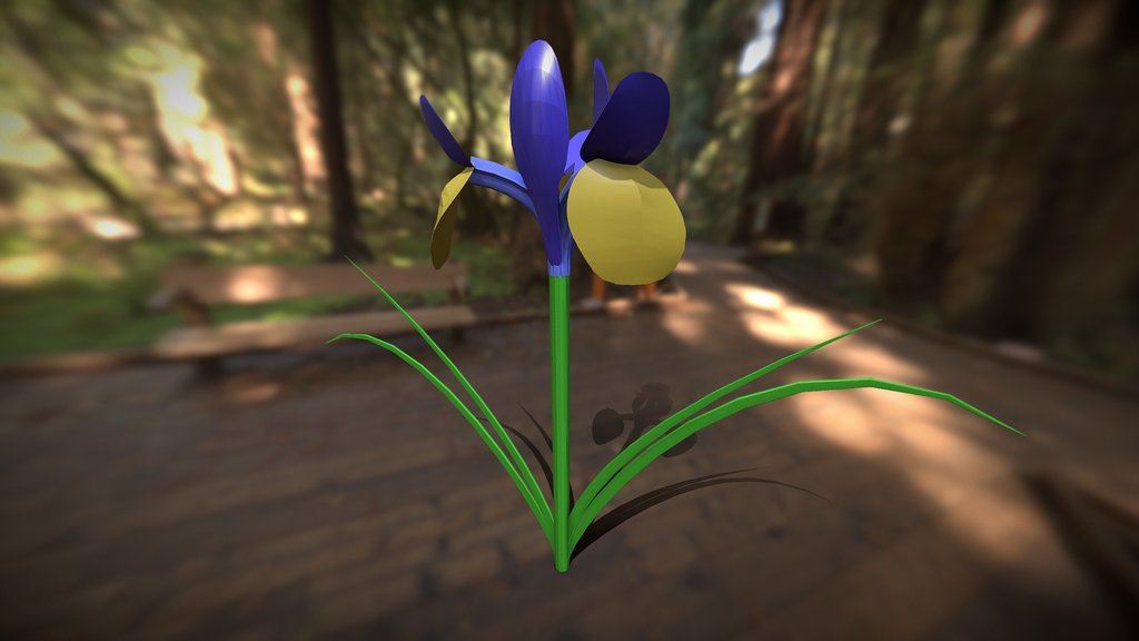 Iris