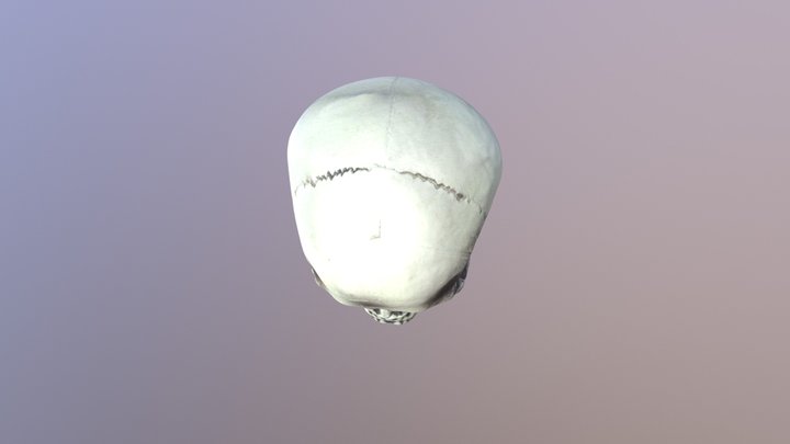 Mon_Dec_11_16_30_45_2017_GMT.obj 3D Model