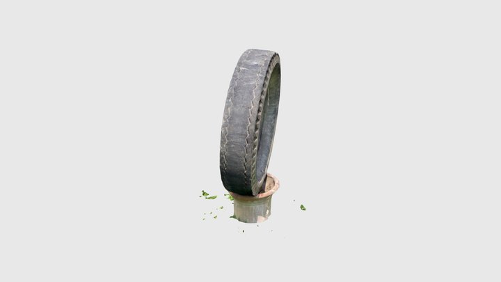 Llamará 3D Model