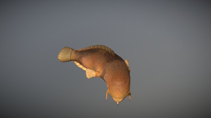 Beyond Skyrim: Morrowind - Guarfish 3D Model