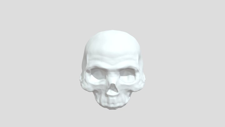 WIP Skull 3D Model