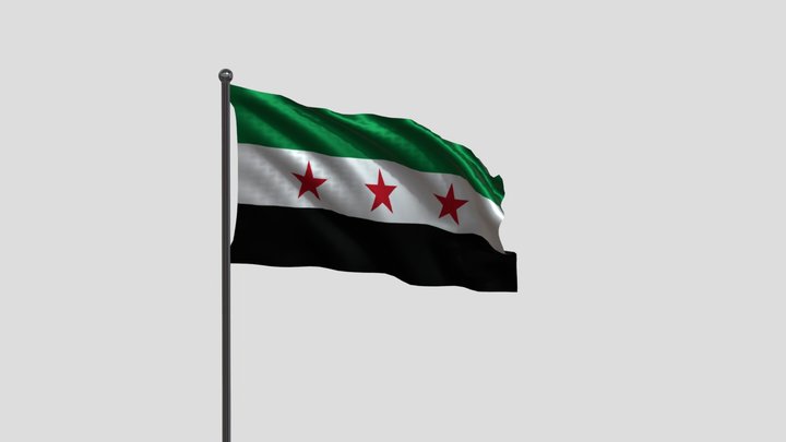 syria flag 3D Model