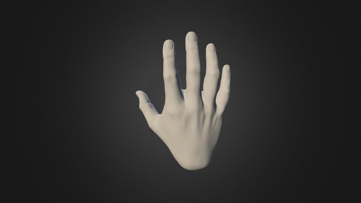 Rigged Pepper Rounded Hands 3D Model