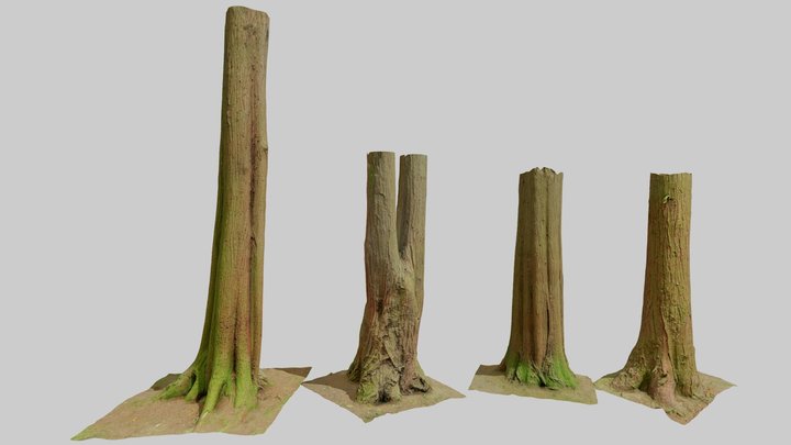 PBR Red Wood Conifer Trunk 3D Photo Scan 3D Model