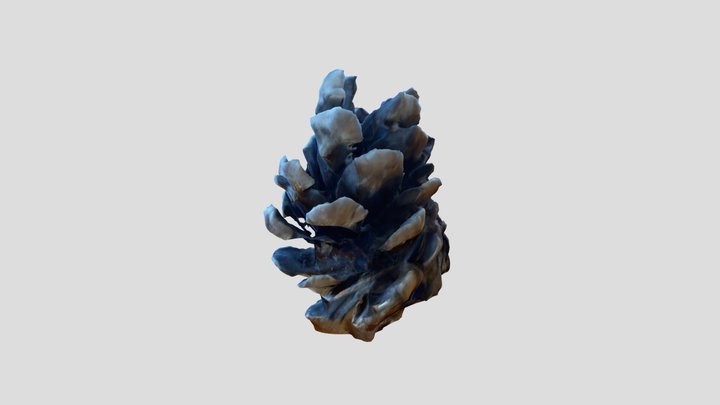 Pinecone – Modello 3D gratuito STL