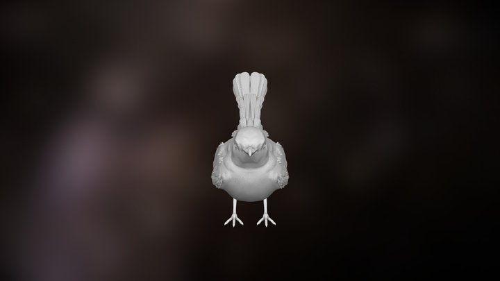 Willy Wag Tail Bird 3D Model