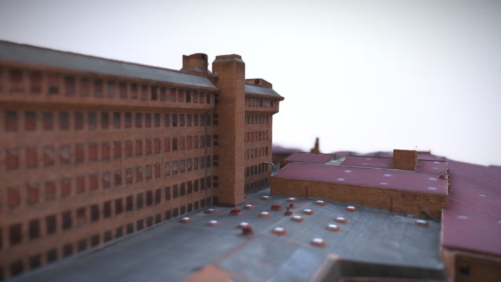 Choricera 3D 3D Model