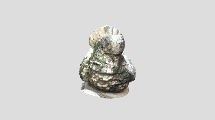 Bird Bath 3D Model