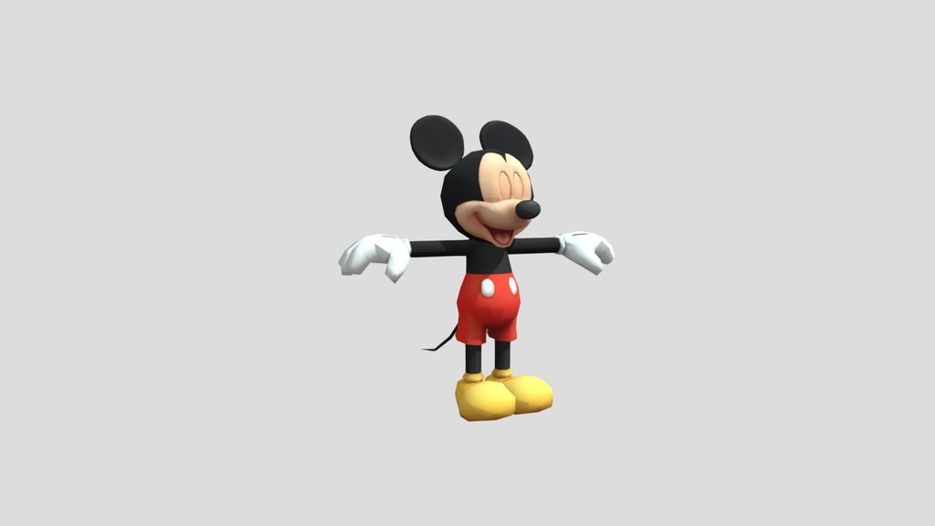 Dmk mickey rig