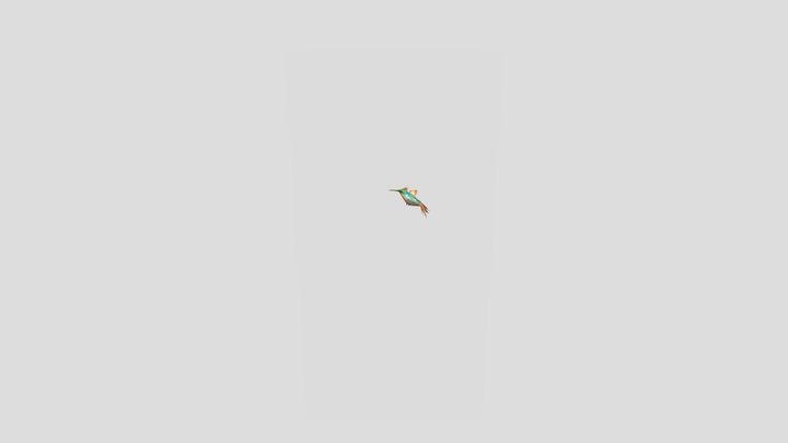 Hummingbird__Flying008 3D Model