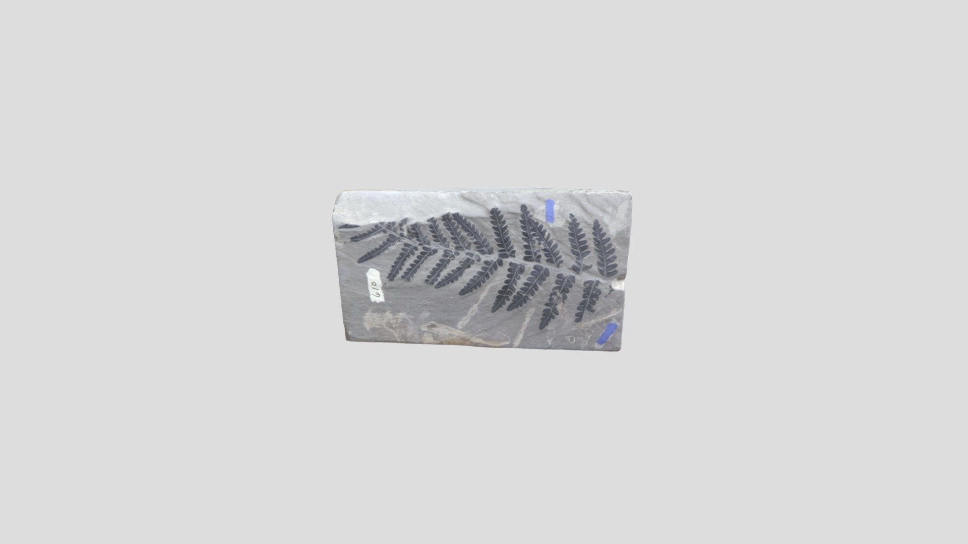 Fossil 9