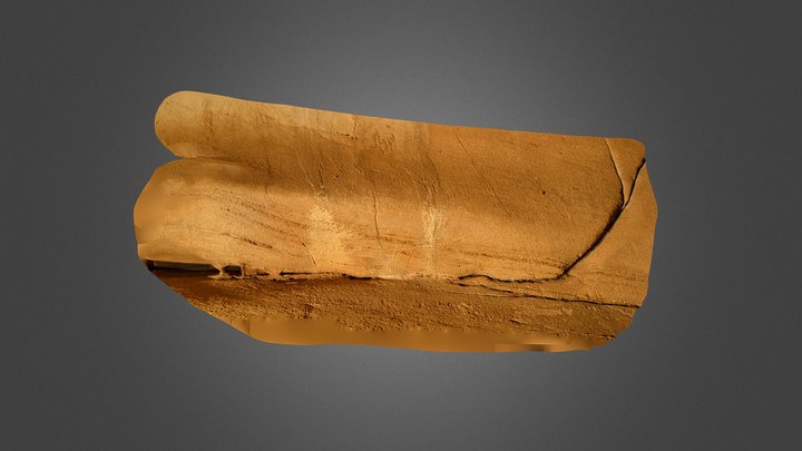 Escoural Cave Engraving #2 3D Model