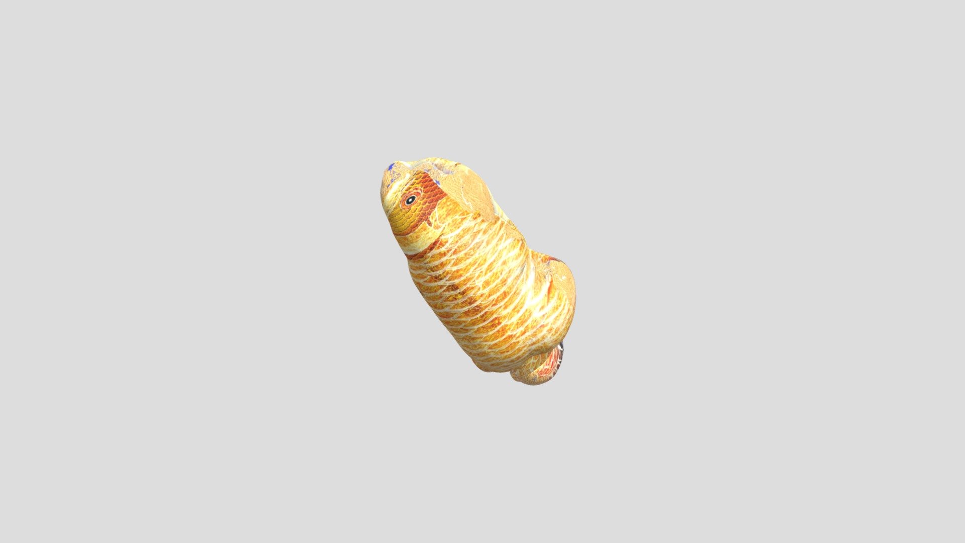 IKAN LIA