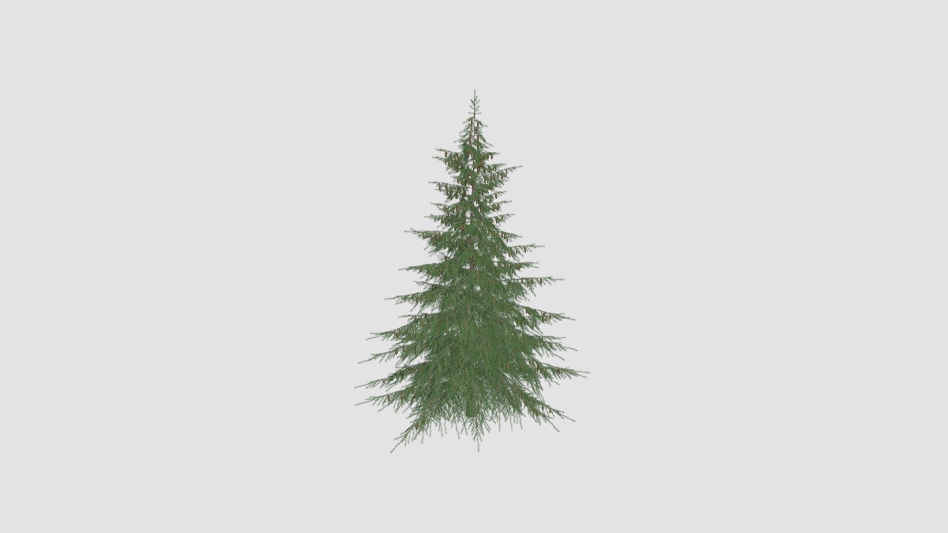 tree - Buy Royalty Free 3D model by Evermotion [8c1fd51] - Sketchfab Store