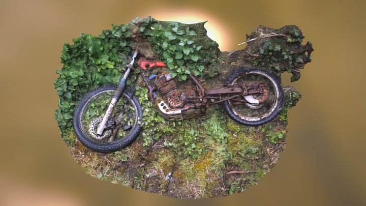Abandoned Motorbike 3D Scan 3D Model