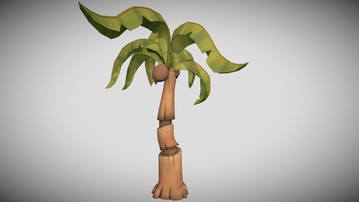 Stylized Coconut Tree 3D Model