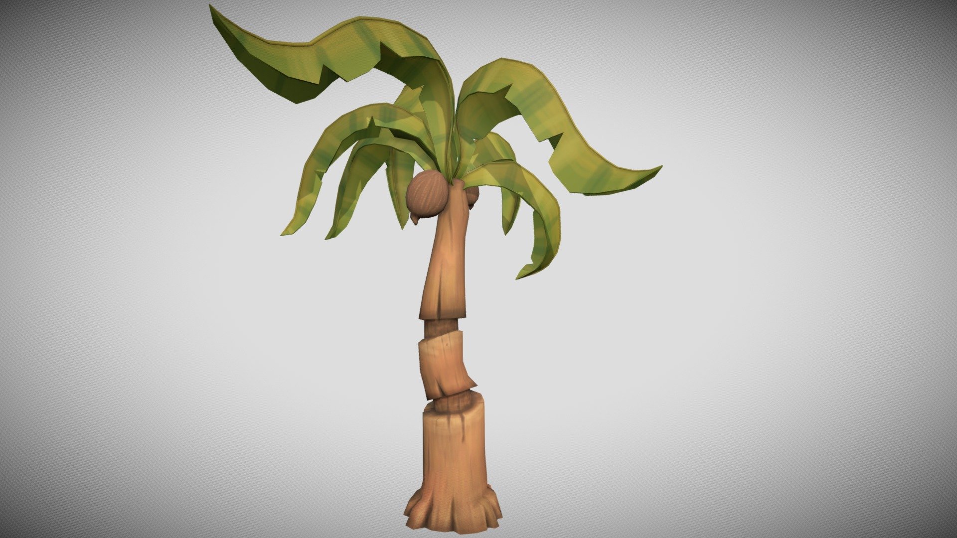 Stylized Coconut Tree 3D model by EZuber [8c2679b] Sketchfab