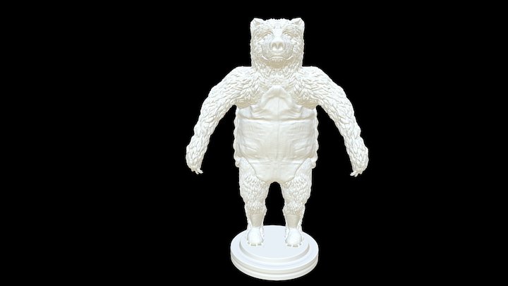 Bear-Tortoise 3D Model