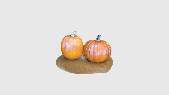 Two Pumpkins 3D Model