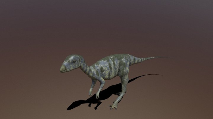 Hypsilophodon animation 3D Model