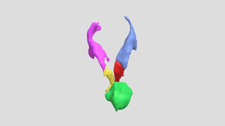 Segmentation 3D Model