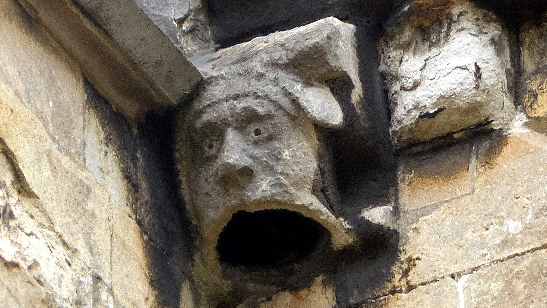Gargoyle head, Winchester Cathedral - 3D model by Kenneth Lymer ...