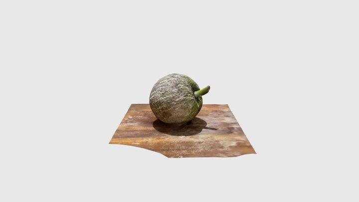 Melon 3D Model