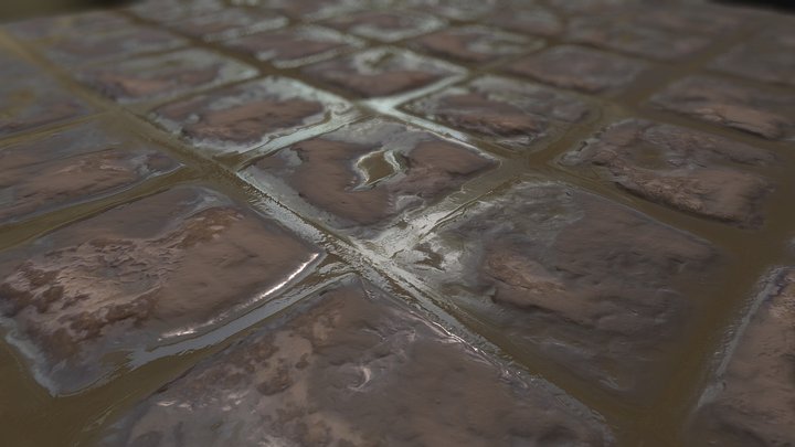 Wet TIles 3D Model