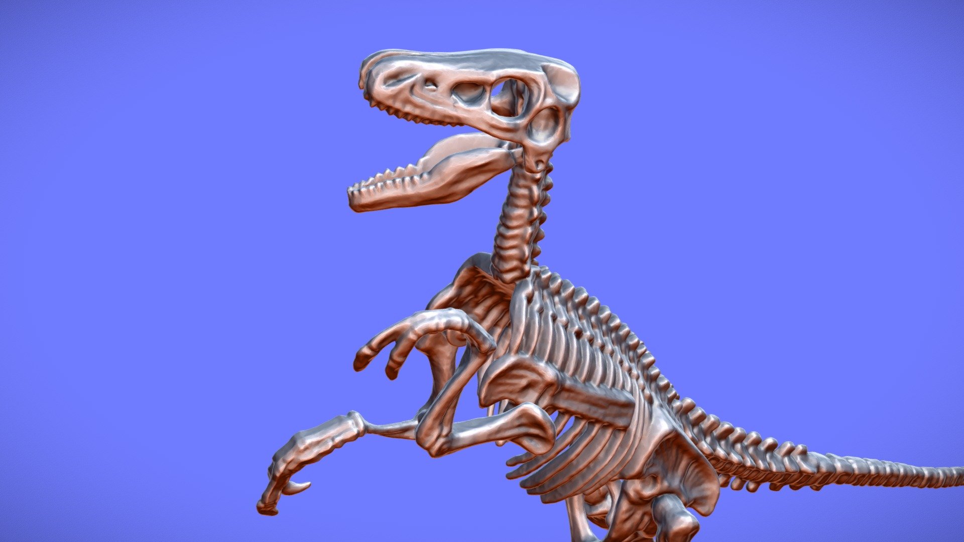 Raptor Souvenier 3D SCAN