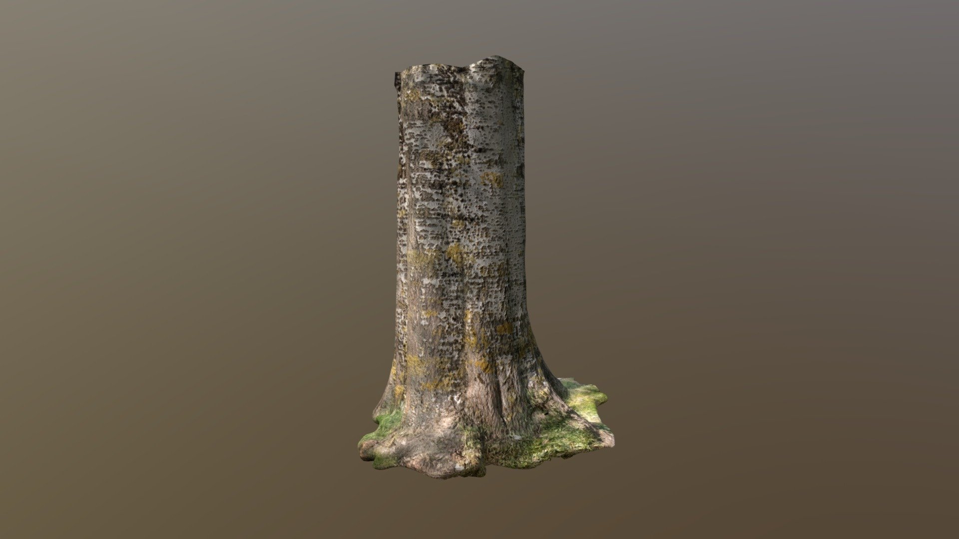 London Tree02