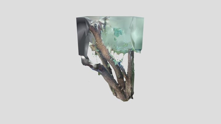 Scan 2023-02-28T04:51:28.697Z 3D Model