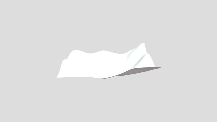 Napkin