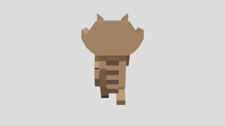 Raccon 3D Model