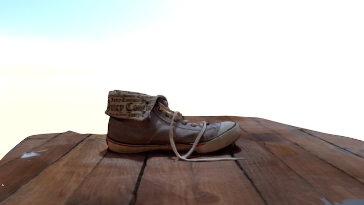 Roommate's Shoe 3D Model