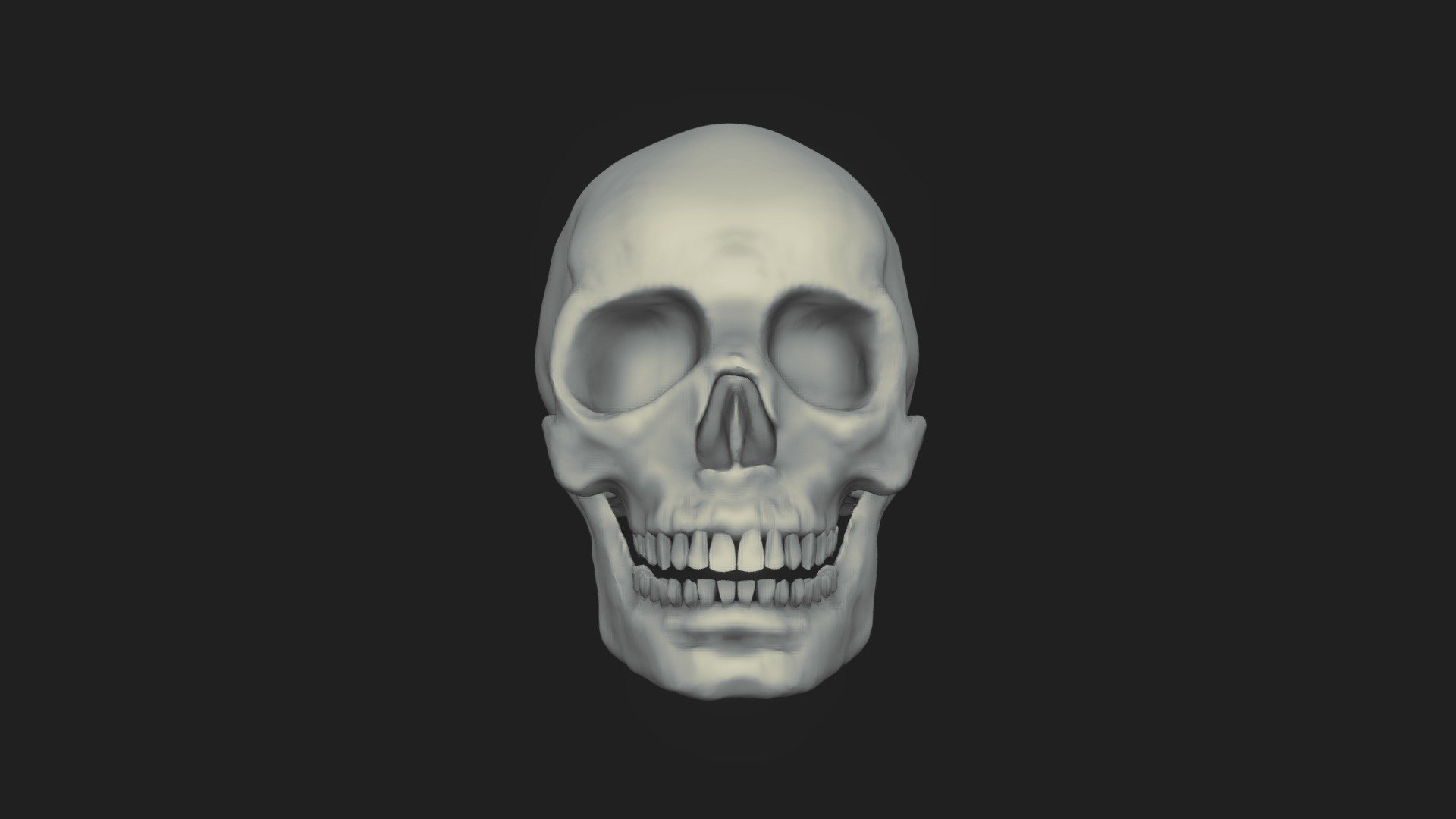 Skull