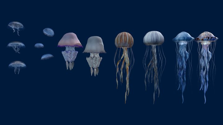 Jellyfish Pack 5 3D Model