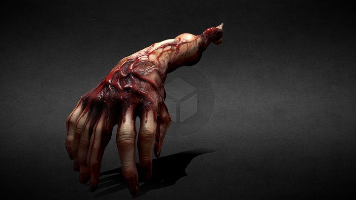 Severed mutated human arm 3D Model