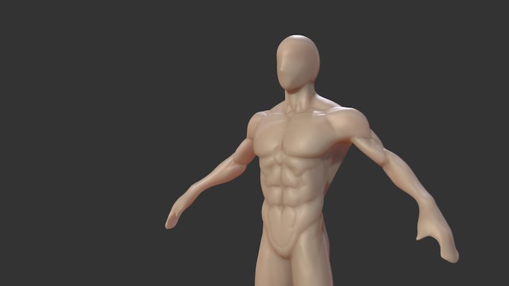 Anatomy Basemesh Human Male Body Model Sculpture 3D Model